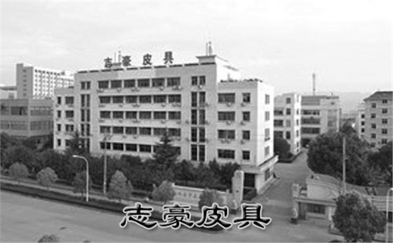 女包定制 客戶指定面料義烏箱包廠志豪皮具可以做嗎