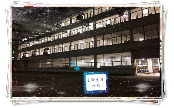 義烏志豪皮具夜景.jpg