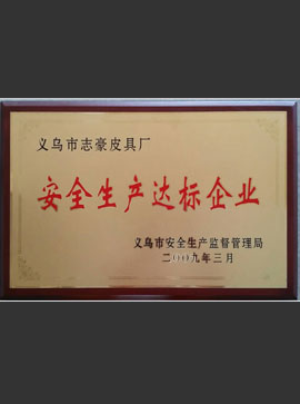 2009年安全生產(chǎn)達(dá)標(biāo)企業(yè)