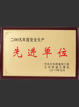 2009年生產(chǎn)先進(jìn)單位
