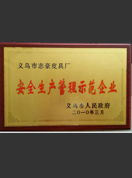 2010年安全生產(chǎn)管理示范企業(yè)